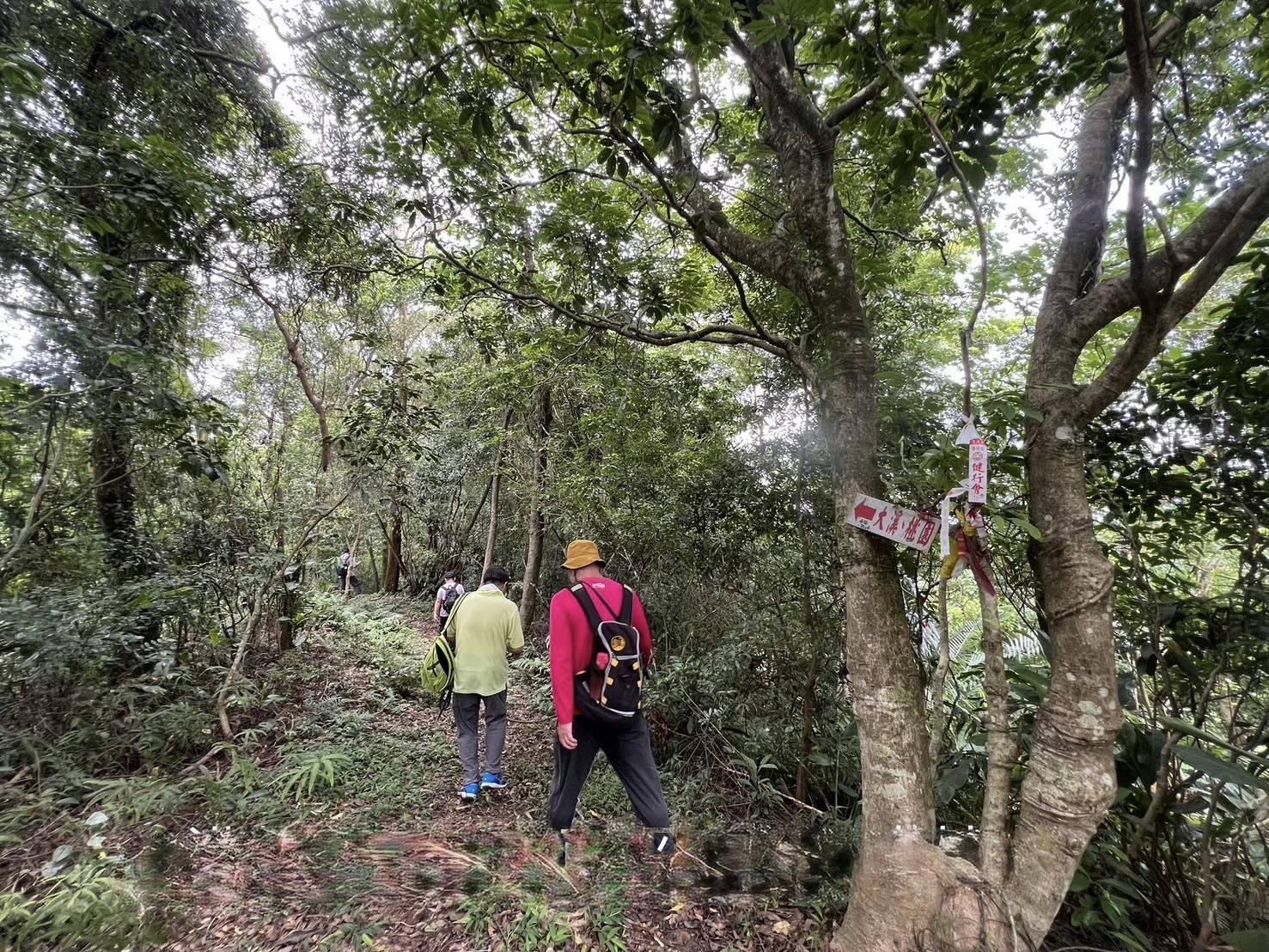 2025乙未海山抗日志數位走讀代表圖片