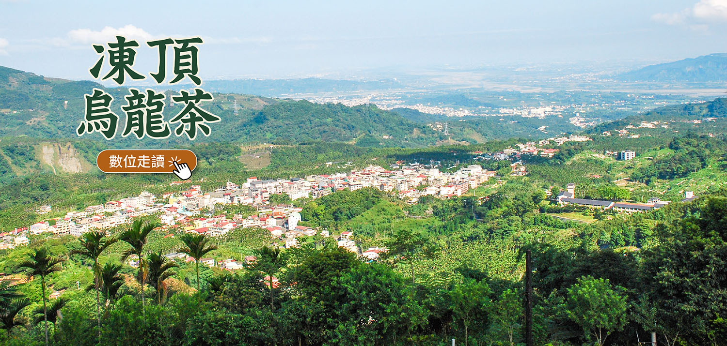 凍頂烏龍茶數位走讀