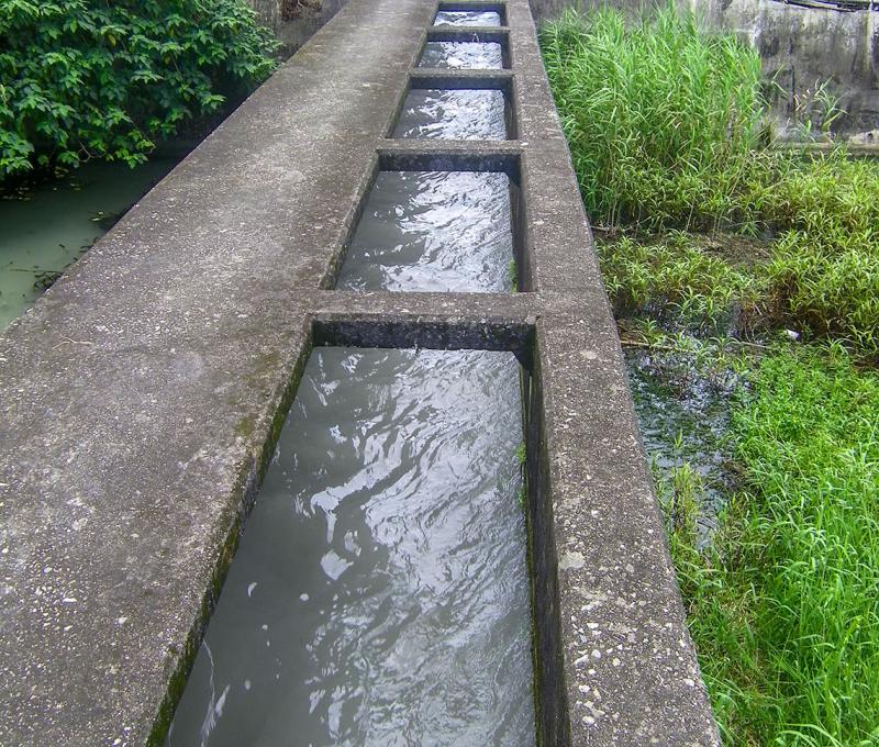 口琴橋-2 照片提供者：臺中市后豐社區大學廖啟宗、吳怡靜、詹智傑共同提供 / 拍攝日期：2012/6/24