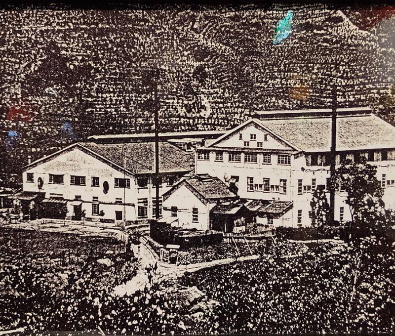 昔日大豹製茶工廠的照片 照片提供者：朱肇維