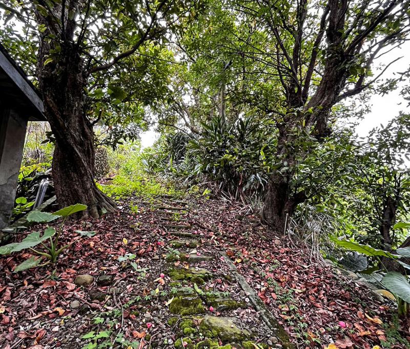 片廠一隅。照片提供者：鄧娜娜 / 拍攝日期：2023/06/19