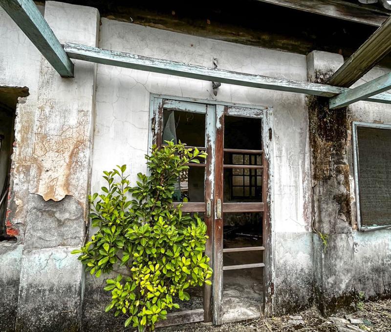 片廠一隅。照片提供者：鄧娜娜 / 拍攝日期：2023/06/19