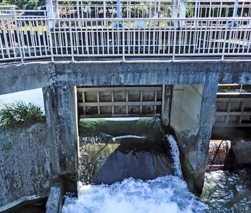 頂角潭-5 照片提供者：臺中市后豐社區大學廖啟宗、吳怡靜、詹智傑共同提供 / 拍攝日期：2023/11/18