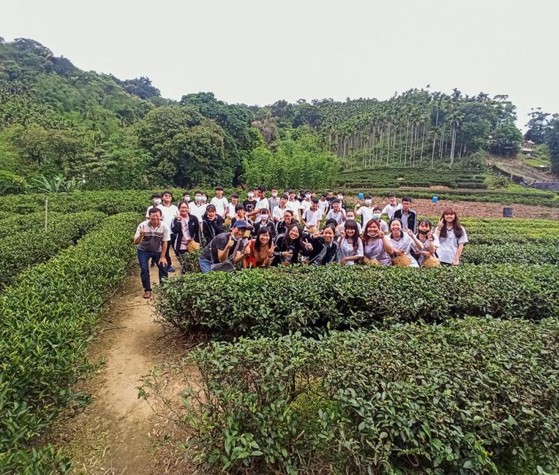 茶廠一旁的茶園也成為茶鄉輕旅行體驗採製茶的重要場域。照片拍攝者：三峽學教師社群 / 拍攝日期：2022/07/24