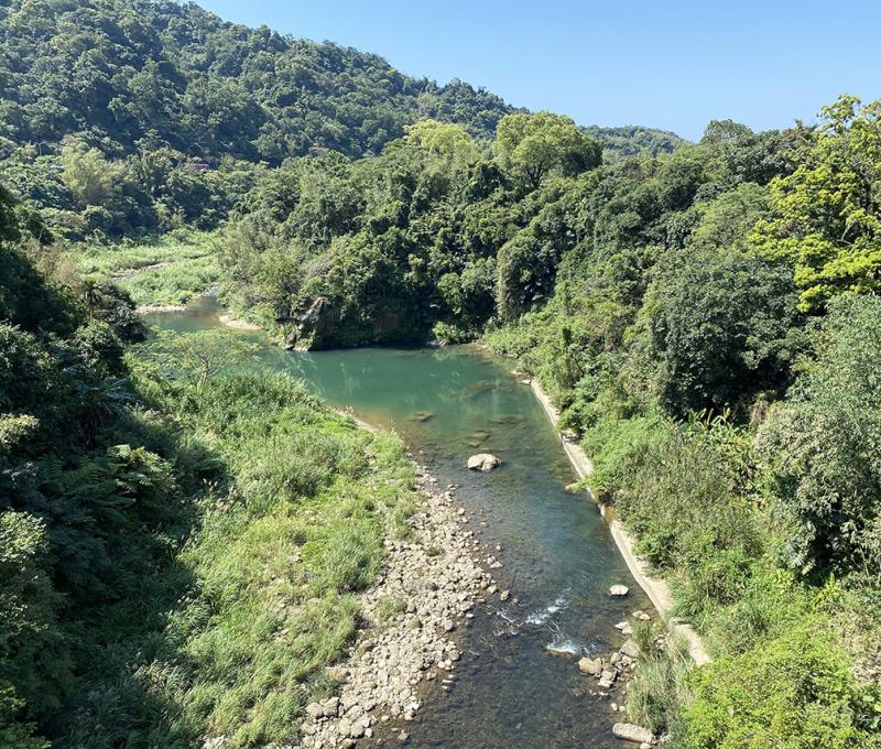 早年以淡水河流域最內陸的渡船口與高大威武的楓樹王聞名。