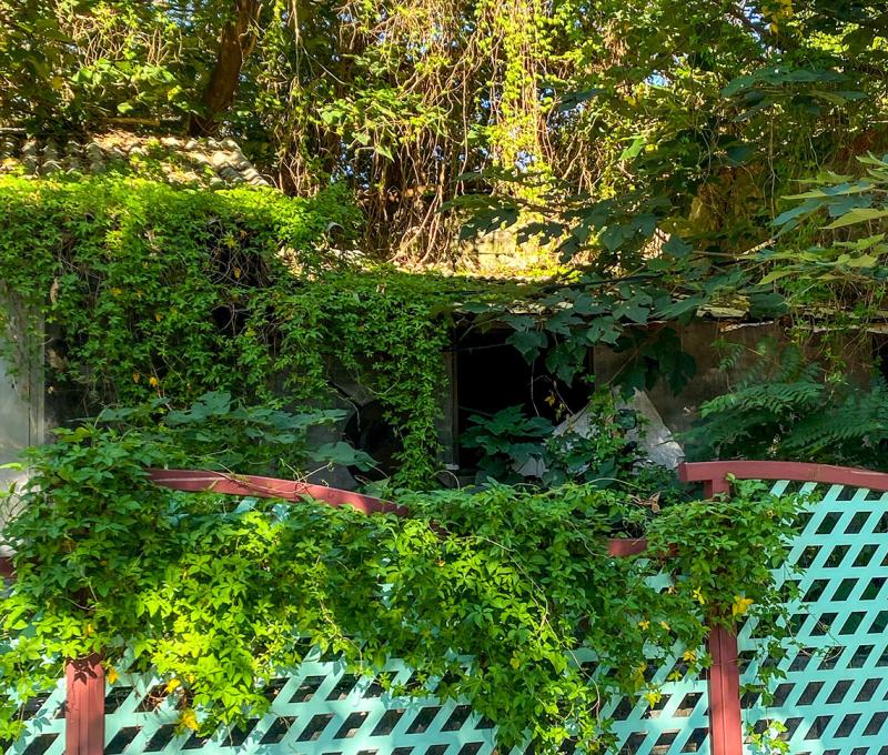 林家圍牆靠近接雲寺處的殘存古城