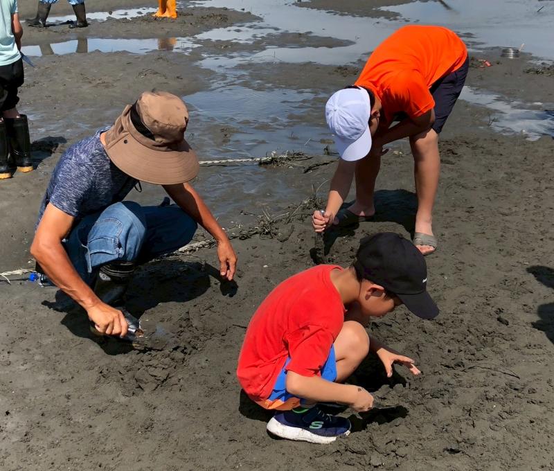 大人小孩體驗挖蛤蠣照片提供者:彰化海洋食研基地團隊 大人小孩體驗挖蛤蠣照片提供者:彰化海洋食研基地團隊