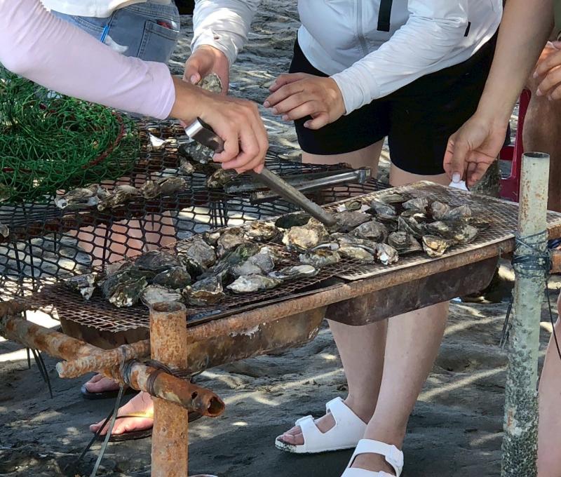烤蚵吃到飽照片提供者:彰化海洋食研基地團隊 烤蚵吃到飽照片提供者:彰化海洋食研基地團隊