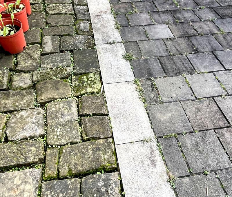 渡船頭的古棧道