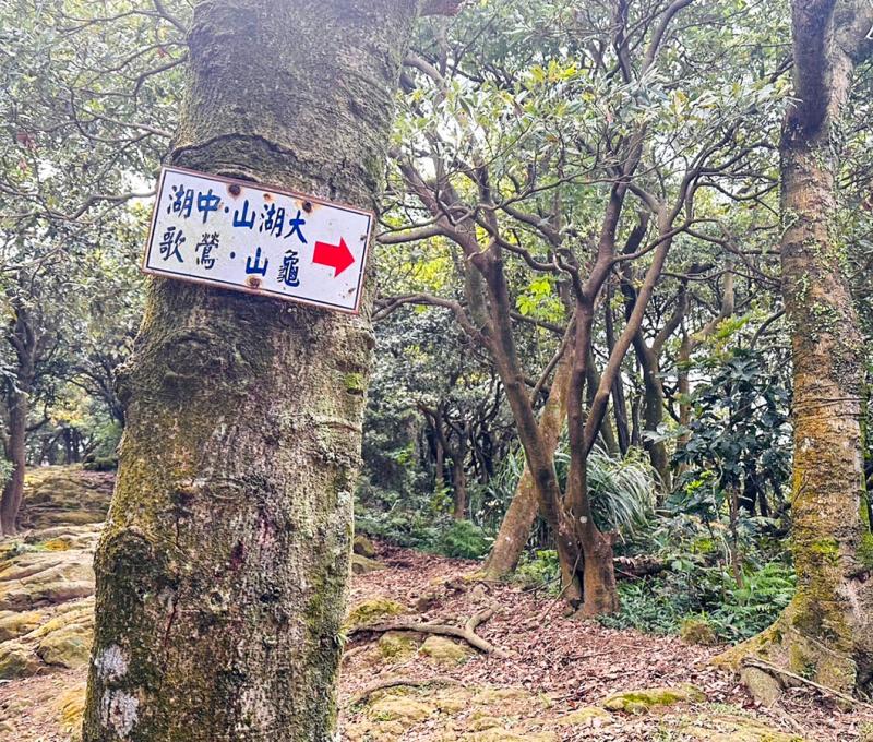 有叉路往鶯歌、龜山。照片提供者：林美惠 / 拍攝日期：2023/09/17