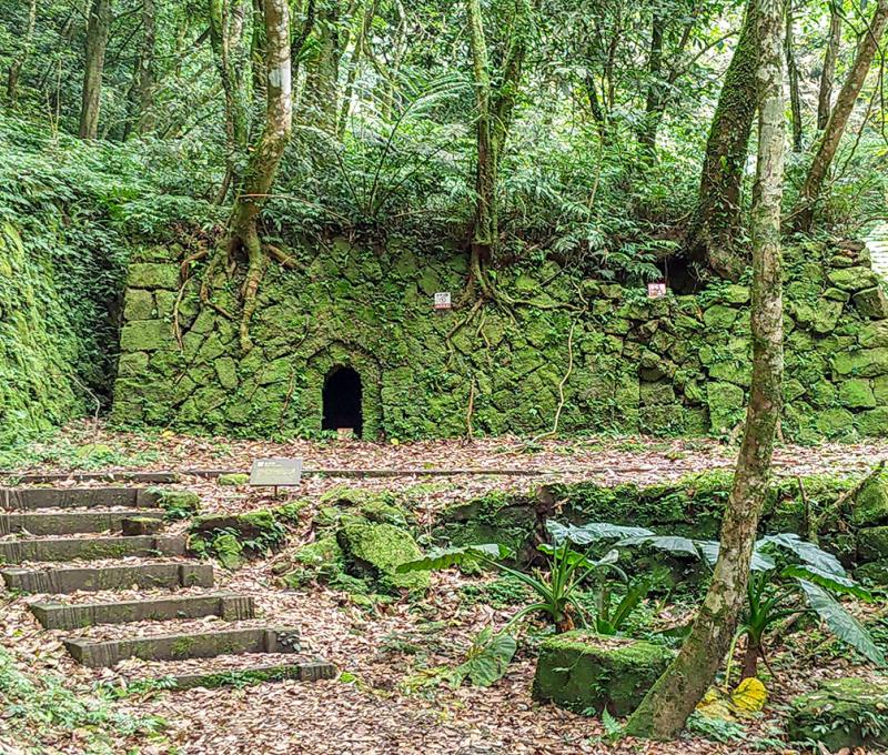 幽靜的氛圍，彷彿置身在宮崎駿卡通魔幻世界。照片拍攝者：北大高中三峽學教師團隊