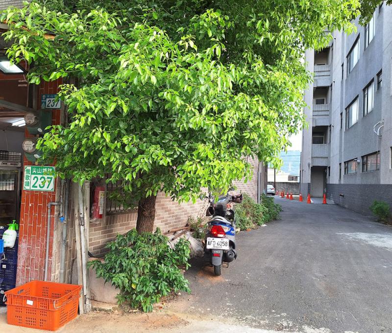 十一間末巷尾牆外是鐵道。照片提供者：江明泱 / 拍攝日期：2023/09/11