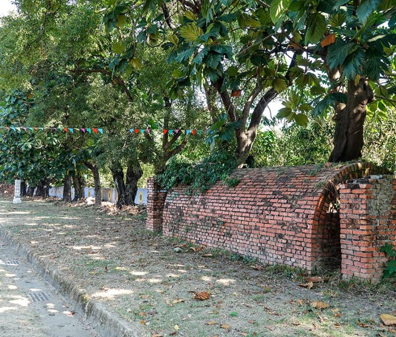 操場旁防空洞 照片拍攝者：客家委員會客家文化發展中心提供 / 拍攝日期：2022