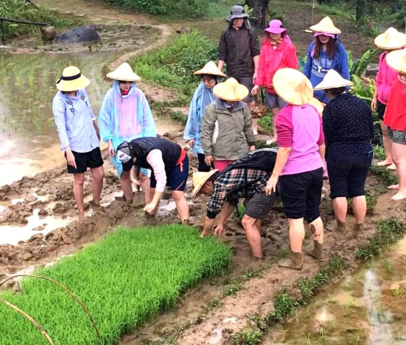 在秧廐鏟秧苗照片拍攝者:蕭學苑 在秧廐鏟秧苗照片拍攝者:蕭學苑