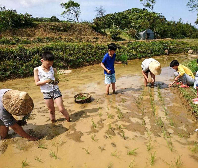 鄉親孩童體驗插秧照片拍攝者:蕭學苑 鄉親孩童體驗插秧照片拍攝者:蕭學苑