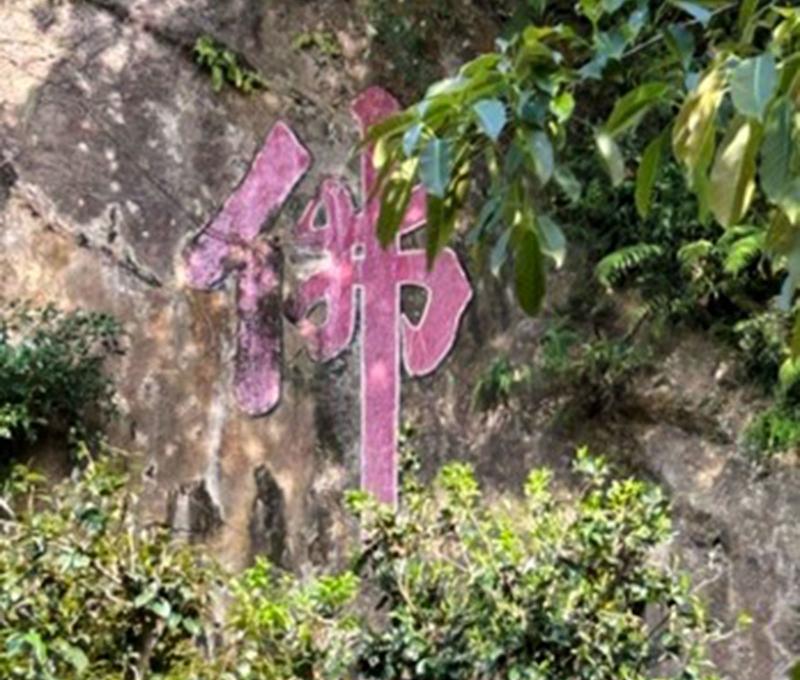 石雲禪寺初創期法師修行的草寮舊址。照片提供者：林美惠 / 拍攝日期：2023/04/16