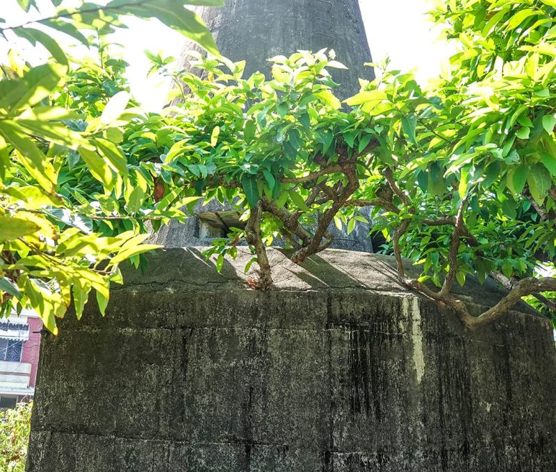 偵測站為日本時代重要具測距儀及無線電站功能碉堡 照片拍攝者：客家委員會客家文化發展中心提供 / 拍攝日期：2022