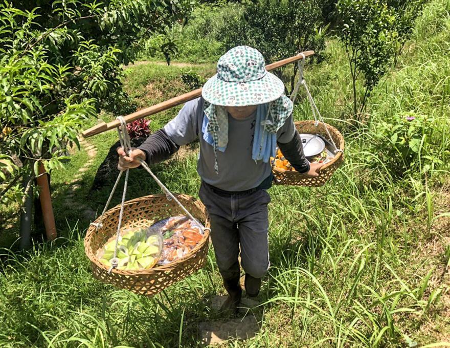 挑割稻飯照片提供者:蕭學苑 挑割稻飯照片提供者:蕭學苑