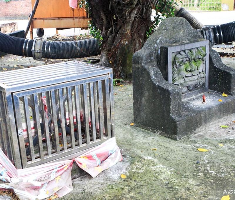 七星劍與劍獅相鄰 照片提供者：石振洋 / 拍攝日期：2019/02/17