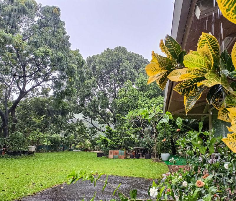 金包珠里景觀餐廳。照片提供者：黃秋菊 / 拍攝日期：2023/09/03