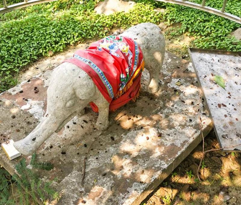 鎮守庄南的石象	 照片提供者：石振洋 / 拍攝日期：2019/02/17