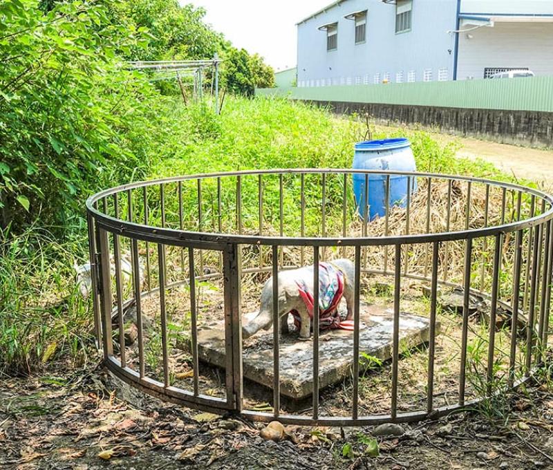 當地相信石象是普賢菩薩的坐騎 照片提供者：毛毓翔 / 拍攝日期：2022/07/09