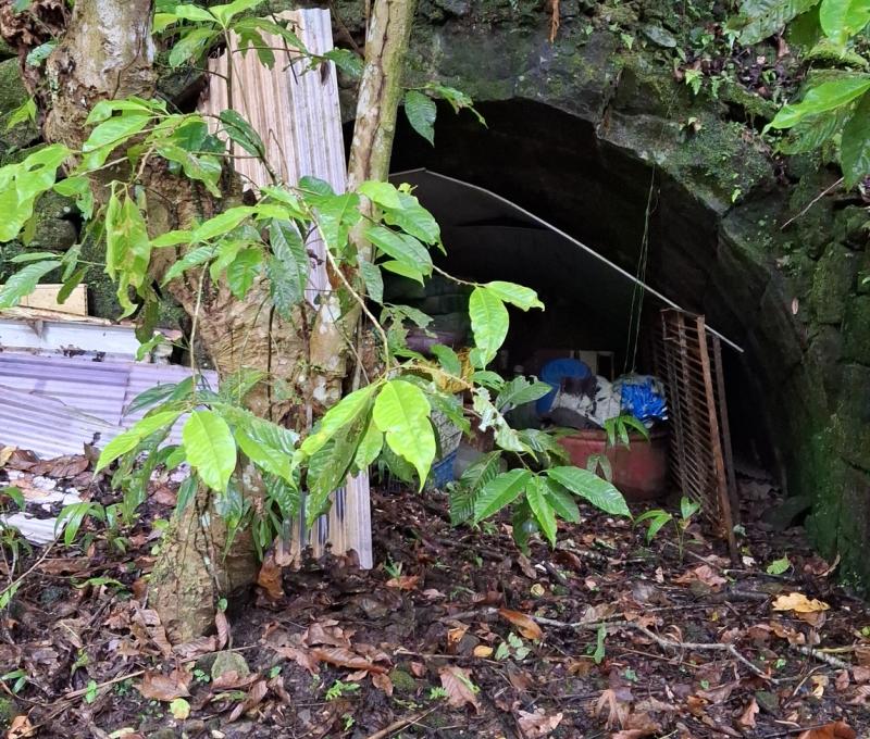 金瓜坑的礦坑─台陽煤礦公司的坑（照片拍攝者：張銓津／拍照日期：2025/5/15）