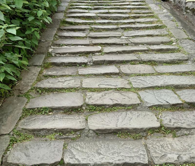 從大漢溪上到老街區的石板路。照片拍攝者：洪光君 / 拍攝日期：2021/4/15