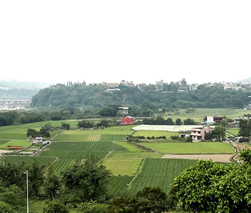 從蓮座山觀音寺，遠眺順時埔的田園景象。照片拍攝者：洪光君 / 拍攝日期：2021/4/15