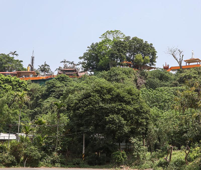 座落在大岩盤上的觀音寺照片拍攝者：洪光君 / 拍攝日期：2021/4/15