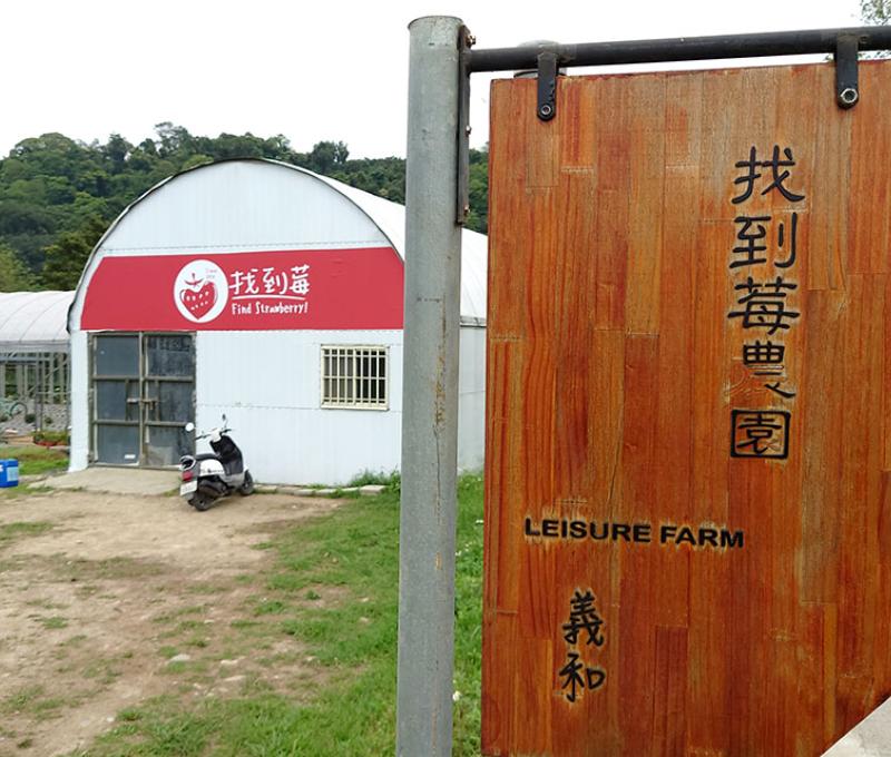 找到莓農園。照片拍攝者：洪光君 / 拍攝日期：2021/4/6