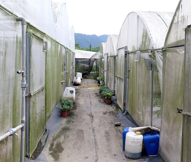 農場網室一隅。照片拍攝者：林炯任 / 拍攝日期：2021/4/24