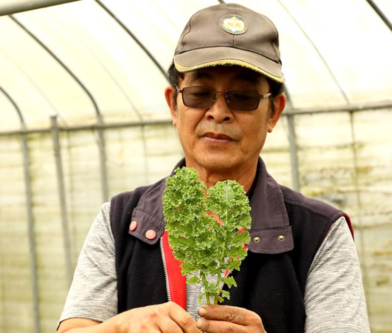 農場主人訴說羽衣甘藍的好。照片拍攝者：洪光君 / 拍攝日期：2021/4/6