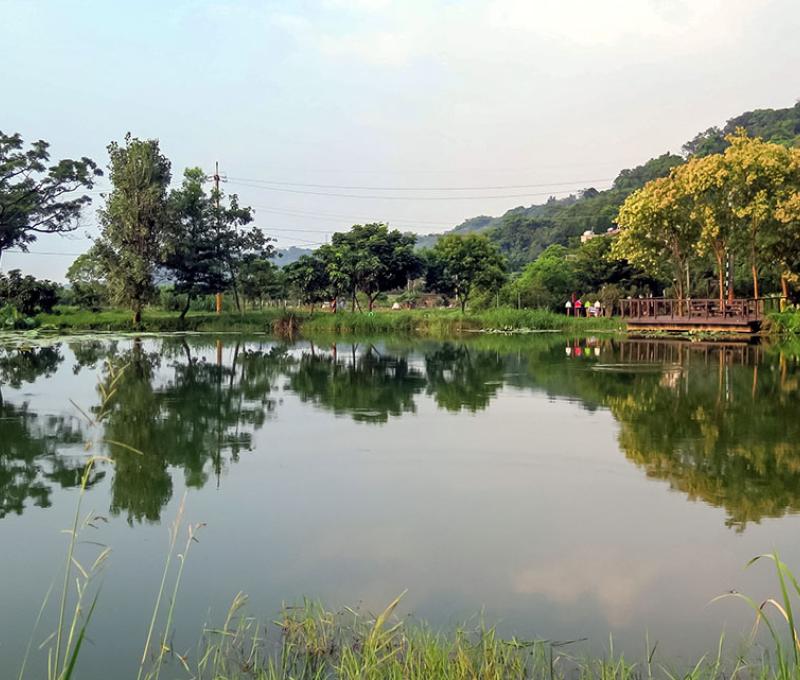 日埤塘照片拍攝者：林炯任 / 拍攝日期：2021/4/25