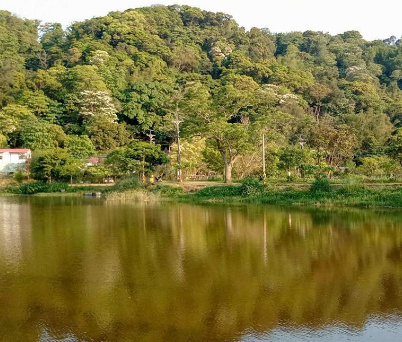 月埤塘照片拍攝者：林炯任 / 拍攝日期：2021/4/25