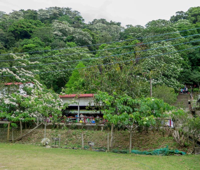 十一指古道入口處照片拍攝者：林炯任 / 拍攝日期：2021/4/24