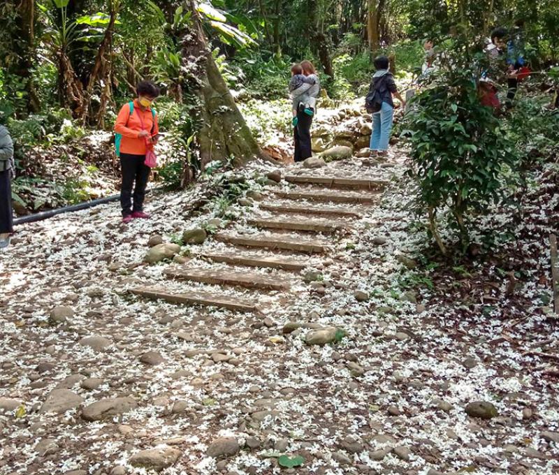 古道入口照片拍攝者：林炯任 / 拍攝日期：2021/4/25