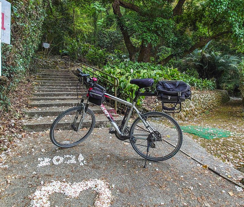 油桐花的季節照片拍攝者：洪光君 / 拍攝日期：2021/4/15