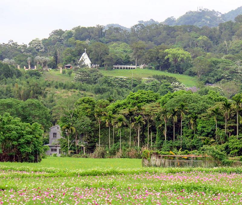 遠望草嶺山下方的大溪花海農場照片拍攝者：林炯任 / 拍攝日期：2021/4/24
