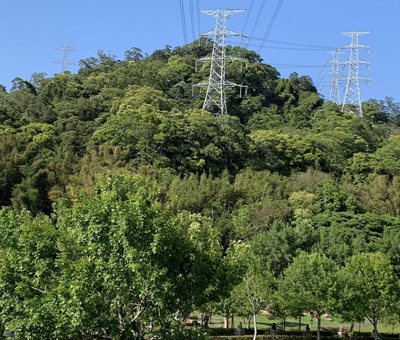 草嶺山照片拍攝者：林美惠 / 拍攝日期：2021/4/6