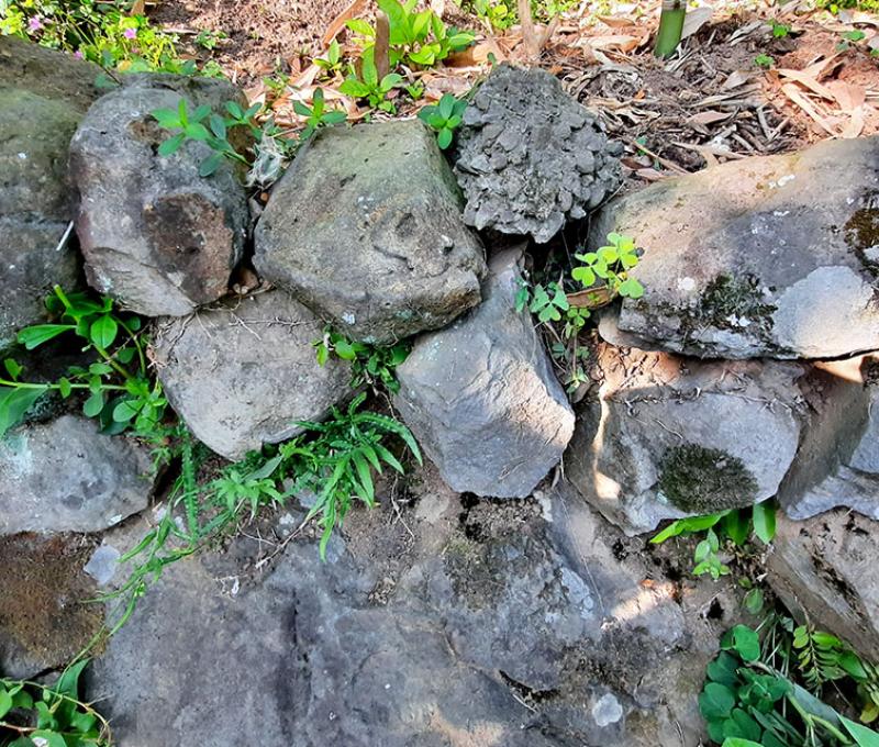 草嶺石照片拍攝者：黃君琪 / 拍攝日期：2021/4/6