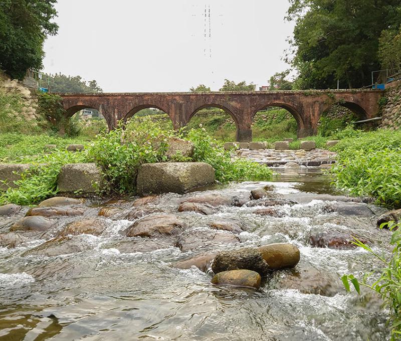 大平紅橋橋下生態工法河岸。照片拍攝者：洪光君／拍攝日期：2021/12/2