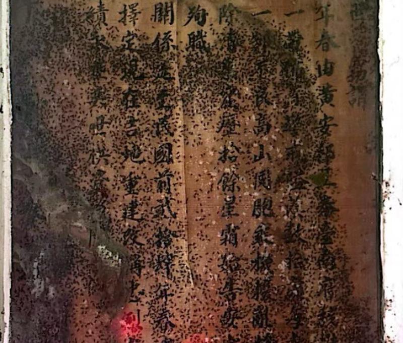 忠烈廟碑文（照片拍攝者：黃君琪／拍照日期：2025/4/6）