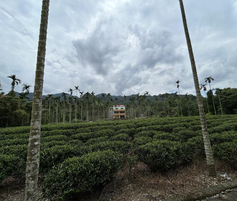 大厝坑橋遺址現況（照片拍攝者：王信喜／拍照日期：2025/5/20）