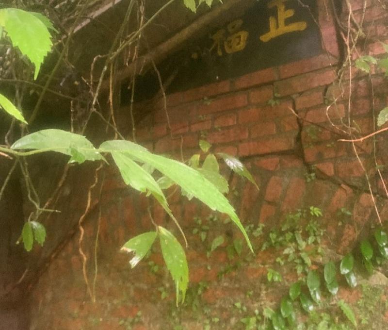 封坑後的頹敗現況-正福煤礦（照片拍攝者：黃蕭添）