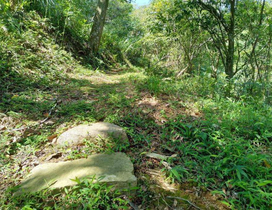 路過里山台灣小水田照片拍攝者:蕭學苑 路過里山台灣小水田照片拍攝者:蕭學苑
