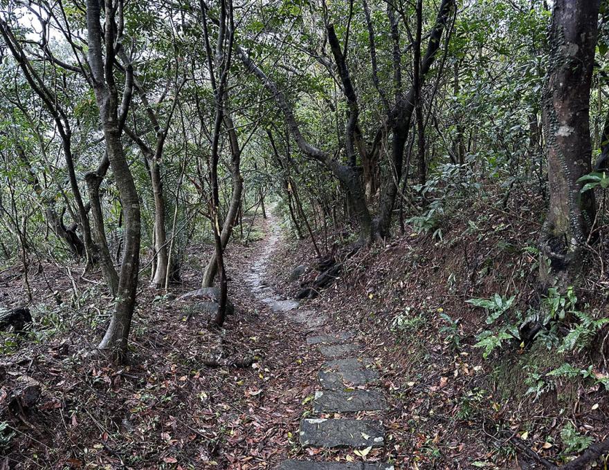 也是淡蘭北路山徑照片拍攝者:蕭學苑 也是淡蘭北路山徑照片拍攝者:蕭學苑