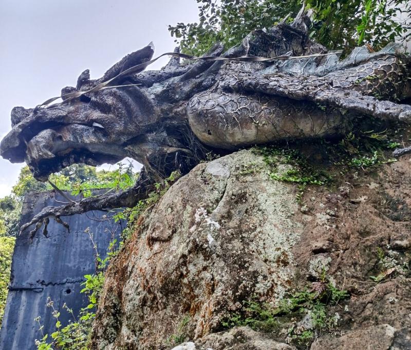 巨大龍首近看更添威武