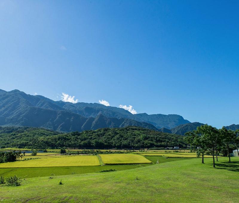 從天賜糧源大草坪望向山田里 照片提供者：天賜糧源