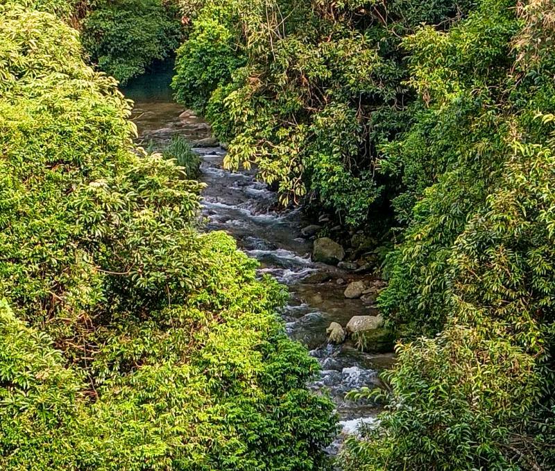 鹿母潭溪上游。照片拍攝者：黃秋菊 / 拍攝日期：2022/09/15